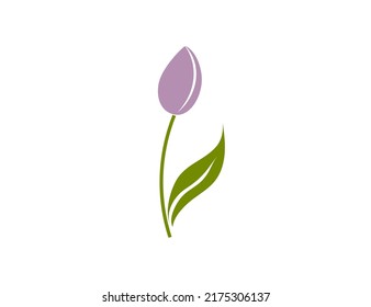 Flower flat vector icon (tulip, crocus, snowdrop)