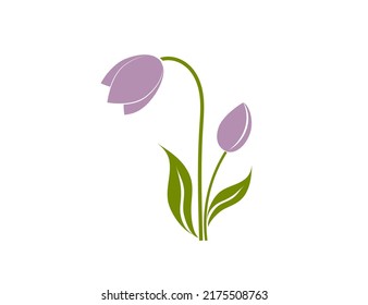 Flower flat vector icon (tulip, crocus, snowdrop)