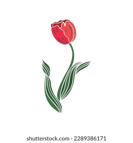 Flower flat vector icon (tulip, crocus, snowdrop), flowers line drawing art. Vector illustration