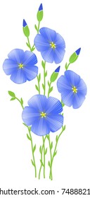 Flower of flax (Linum usitatissimum)