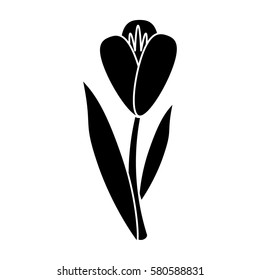 flower flora fragant garden pictogram