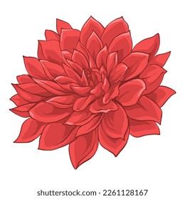 Flower flora nature object clip art 