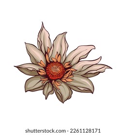 Flower flora nature object clip art 