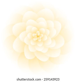 flower flora vector lotus lily 