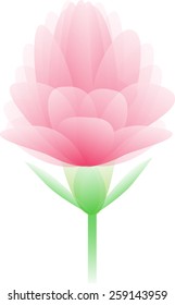 flower flora vector lotus lily 