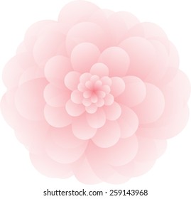 flower flora vector lotus lily 