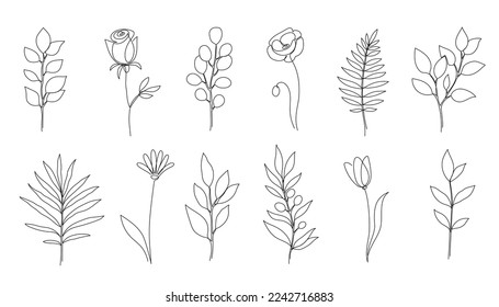 Flor, hoja floral de una línea de arte. Una línea de arte continua, diseño mínimo de flores. Rama editable de trazo eucalipto, rosa, follaje amapolitano de elemento floral. Ilustración vectorial aislada