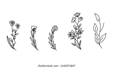 Flower Floral line hand drawn tribal  and calligraphic deco border vector set isolated on white background. Vector Illustration EPS 10