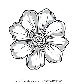 flower floral nature sketch icon