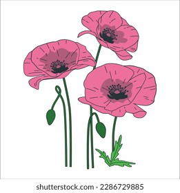 Flower floral pattern vector illustration. Bloom bouquet with leaves and twigs. Spring element decoration in modern simple cartoon flat style for print design. Gently pink flowers of anemones outdoors