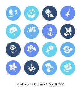 Flower; floral; plant icon set and guzmania flower with geranium, periwinkle and aloe vera. Pansy related flower; floral; plant icon vector for web UI logo design.