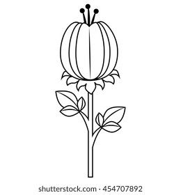 Flower floral present, isolated flat icon design.