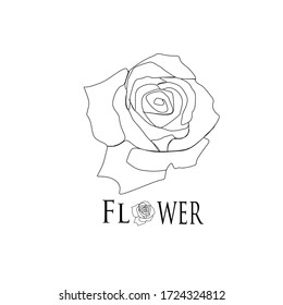 flower flore red summer beautiful