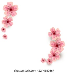 Flower flowering against isolated on white background. Blooming flower buds. Design of realistic pink floral buds.