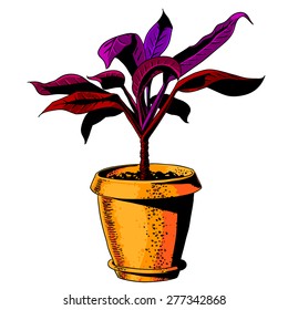 flower in a flowerpot. color vector