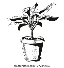 flower in a flowerpot. vector