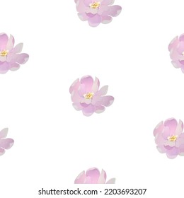  flor, flores, primavera, flora, patrón de flores, peonía vectorial de flores