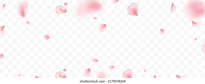 Flower flying background. Sakura petal spring blossom. Pink rose composition. Beauty Spa product frame. Valentine romantic card. Light delicate pastel design. Wedding card. Vector illustration.