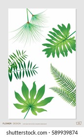 Flower and foliage for decoration