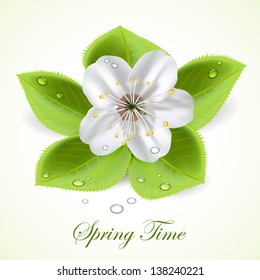 Flower and foliage with drops, illustration.