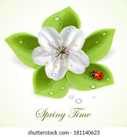 Flower and foliage with drops and ladybug, illustration.