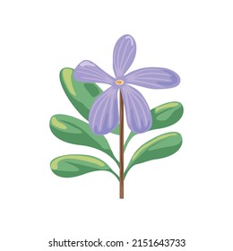 icono de flor y follaje aislado