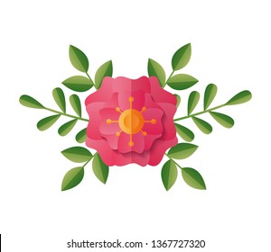 flower foliage nature