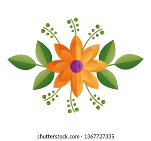 flower foliage nature