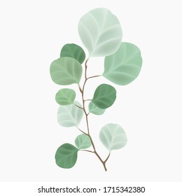 flower foliage realistic vector botanical illustration clipart . graphic elements for wedding design, posters, postcards.