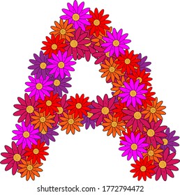 Flower font. The letter A. Many colored flower heads. Inflorescence. Bright petals. Purple, pink, red, orange. Romantic summer lettering