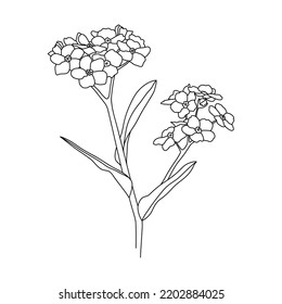 Blume Vergiss-Me-Not. Skizze, Vektorgrafik im Dooolstil. Design-Element.