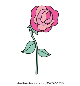 flower in the form of rose 