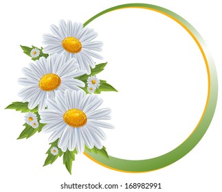 Flower frame. Flower borders. Bouquet camomile isolated. 