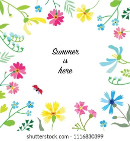 Flower frame with chamomile, forget me not, cornflowers and other wild plants