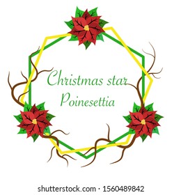 Flower frame christmas star. vector illustration.