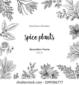 Flower frame design. hand painted illustration. Vintage sketchy style plants. . Vector illustration