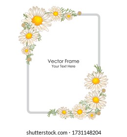 Flower frame. Frame with flowers of camomiles. Floral design. Vector color frame. Flat illustration of flowers.