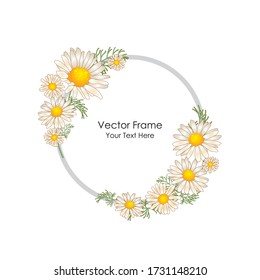 Flower frame. Frame with flowers of camomiles. Floral design. Vector color frame. Flat illustration of flowers.