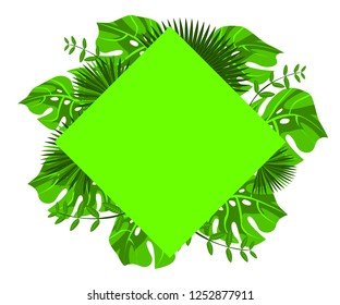 flower frame monstera ufo green, invitation card monstera proton purple, background tropical leaves plastic pink