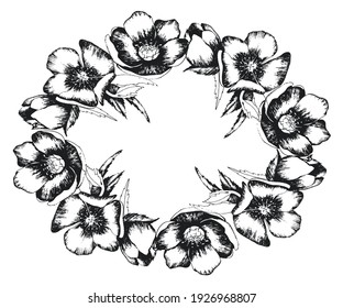 Flower frame | Sketch | Hand-drawn