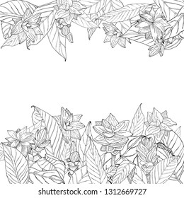 Flower frame template. Curcuma (turmeric) flower. Plant silhouette. Hand drawing outline. Stylish illustration. Vector illustration. For wallpaper, fabrics, wrapping paper.