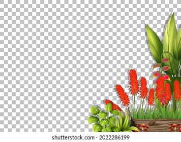 Flower frame template on transparent background illustration