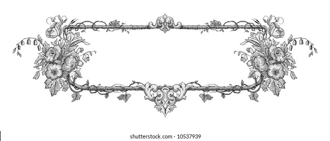 flower frame vector