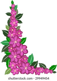 flower frame vector