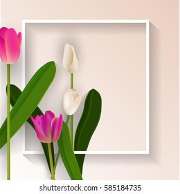 Flower Frame Vector,Tulip