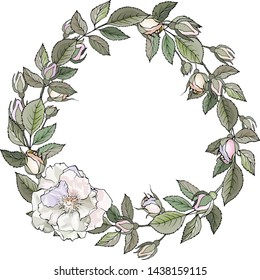 Flower Frame with white wild rose and green leaves. Wreath for wedding stationary, fashion, wallpapers, greetings, postcard. Suitable for your design, cards, invitations, gifts, posters.