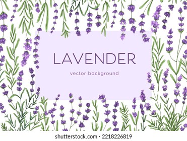 Diseño de tarjeta con marco de flores. Antecedentes con flores de lavanda, ramas. Plantilla de banner romántico con delicado lavendar morado, hojas, hierbas silvestres francesas. Ilustración vectorial coloreada a mano