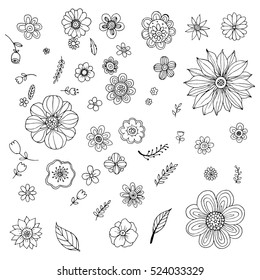 Flower Free hand Set Vector, Doodle Flower Vector