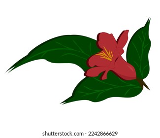 La flor es el fruto de la granada. Ilustración vectorial plana