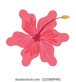flower fucsia color decorative icon